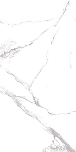 Neo Calacatta 60x120 Gümüş