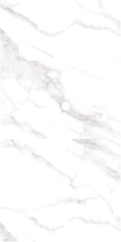 Unique 60x120 Luna