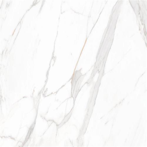 Statuario 60x60 Beyaz