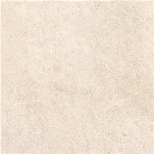 Rafael 60x60 Bone