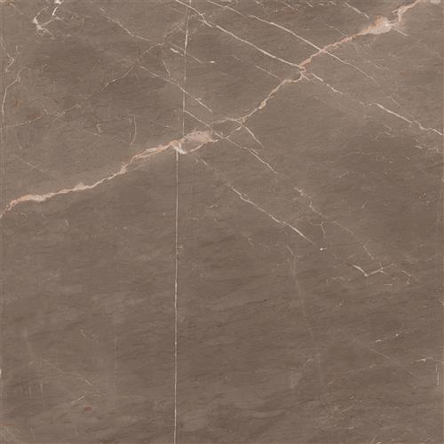 Graphite 60x60 Graphite