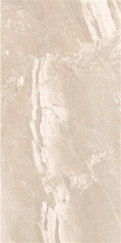 Bone