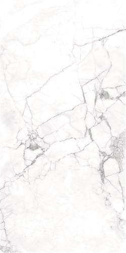 Phaselis 30x60 Phaselis